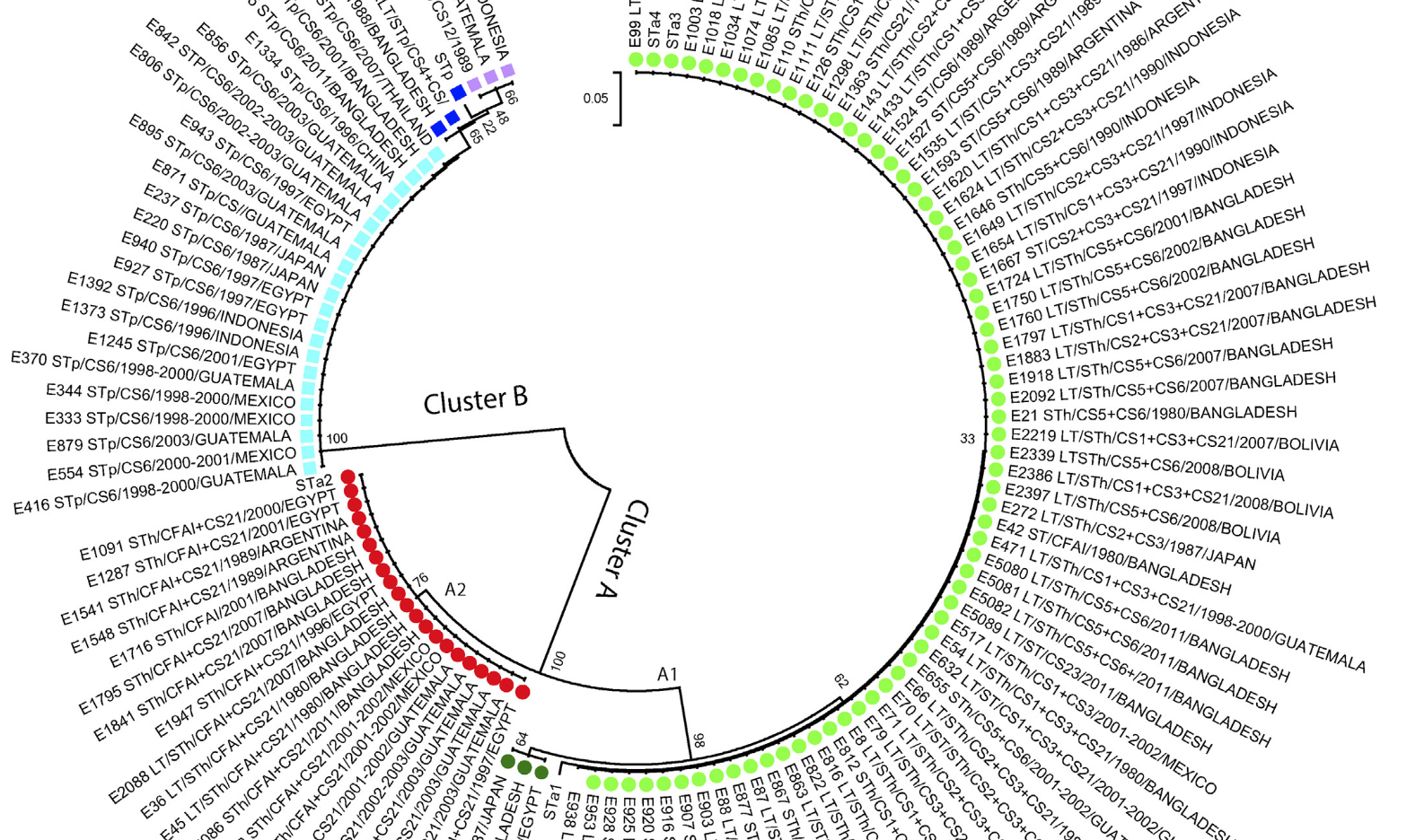 Identification of new heat-stable (STa) enterotoxin allele variants produced by human enterotoxigenic Escherichia coli (ETEC)