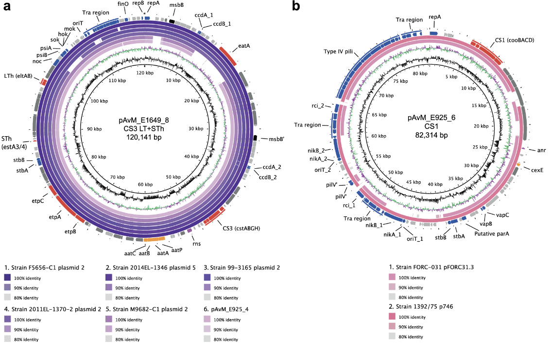 Identification of enterotoxigenic Escherichia coli (ETEC) clades with long-term global distribution